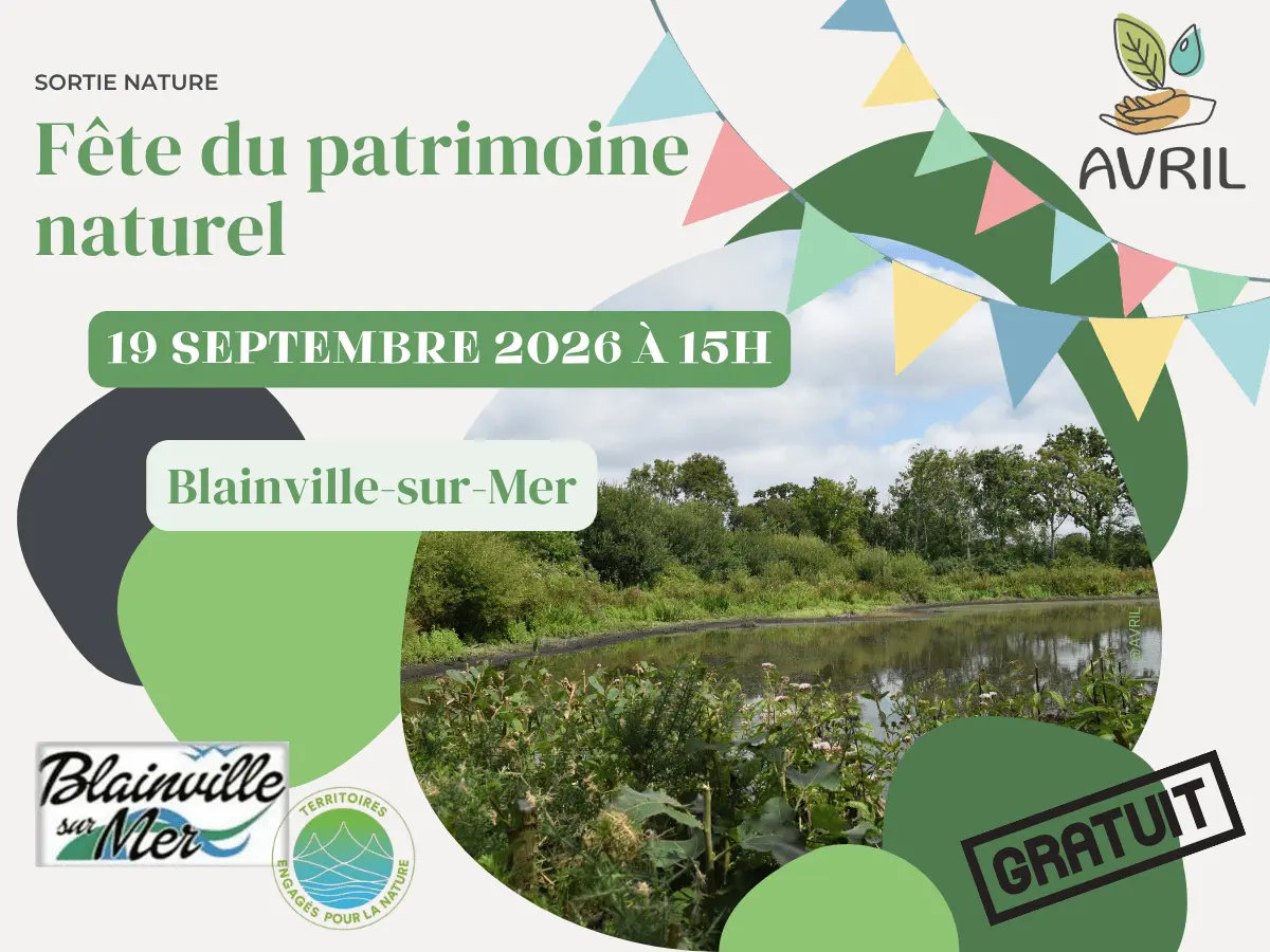 Tourinsoft 1200x900 - 20260919_fête du patrimoine_blainvillesurmer