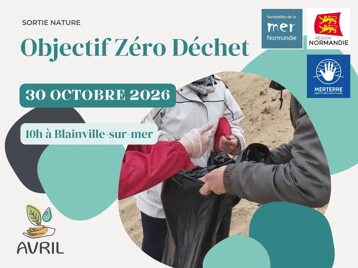Tourinsoft 1200x900 - 20261030_objectif zero dechet_blainvillesurmer