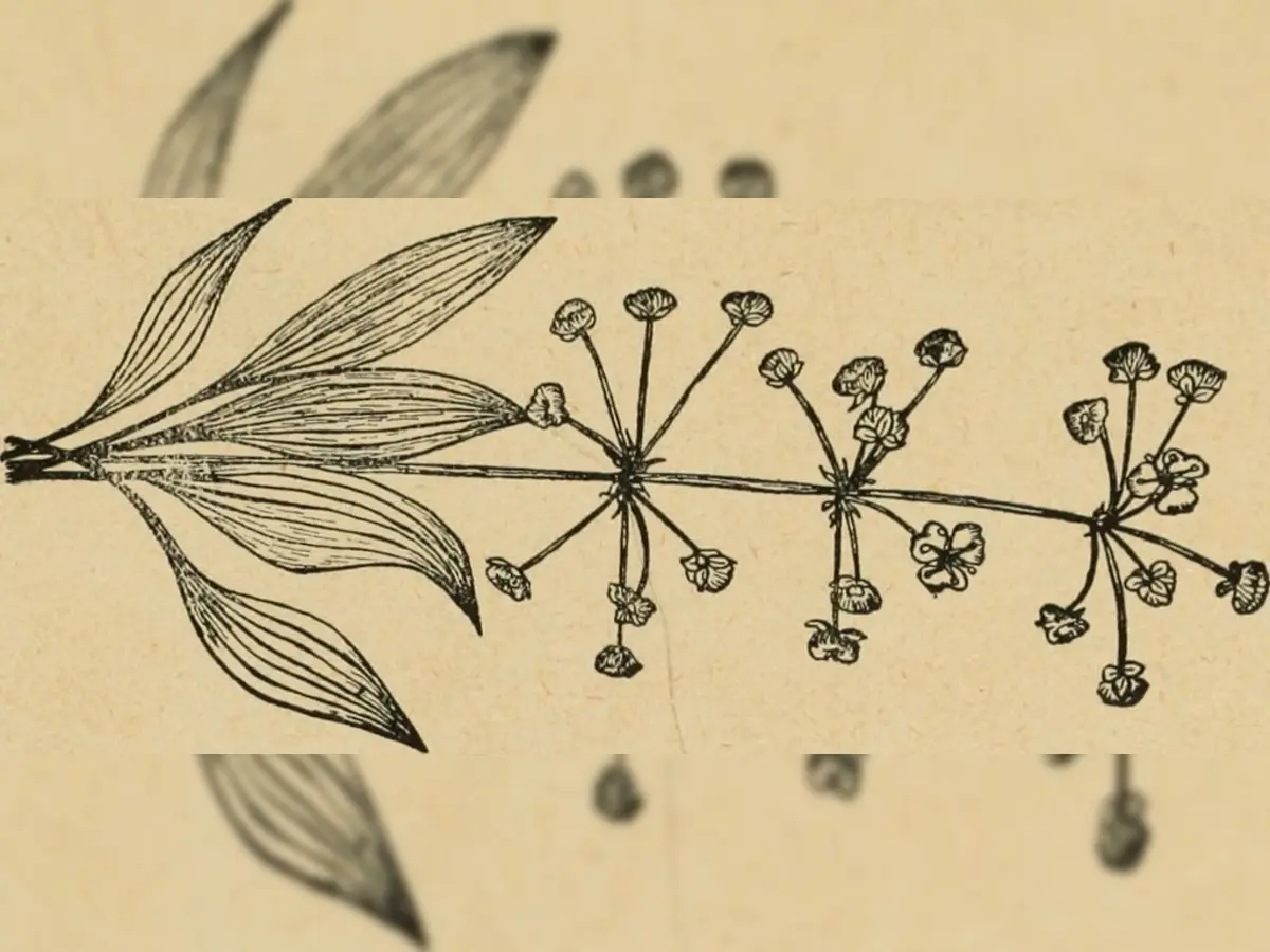 20578866742_30c7edee63_b (1)
