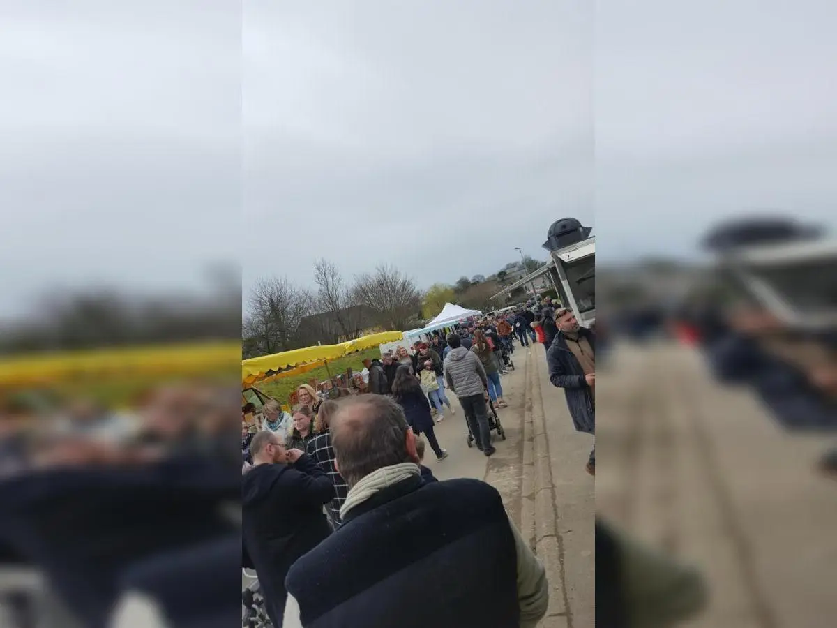 29943167_10214299958786657_1571680907_o (1)