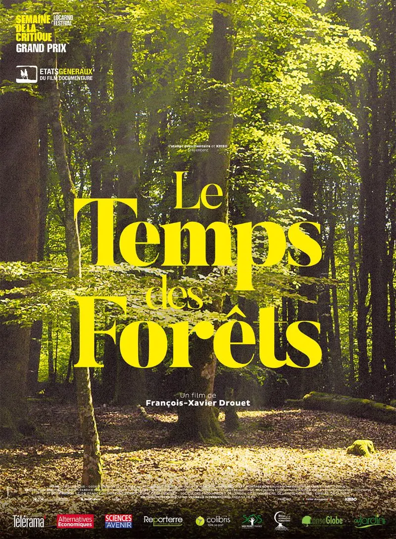 Affiche le temps des forêts 2025