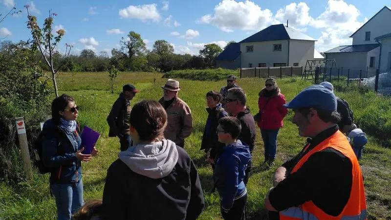 Balade guidée bocage 2025 Cérences Hudimesnil 1