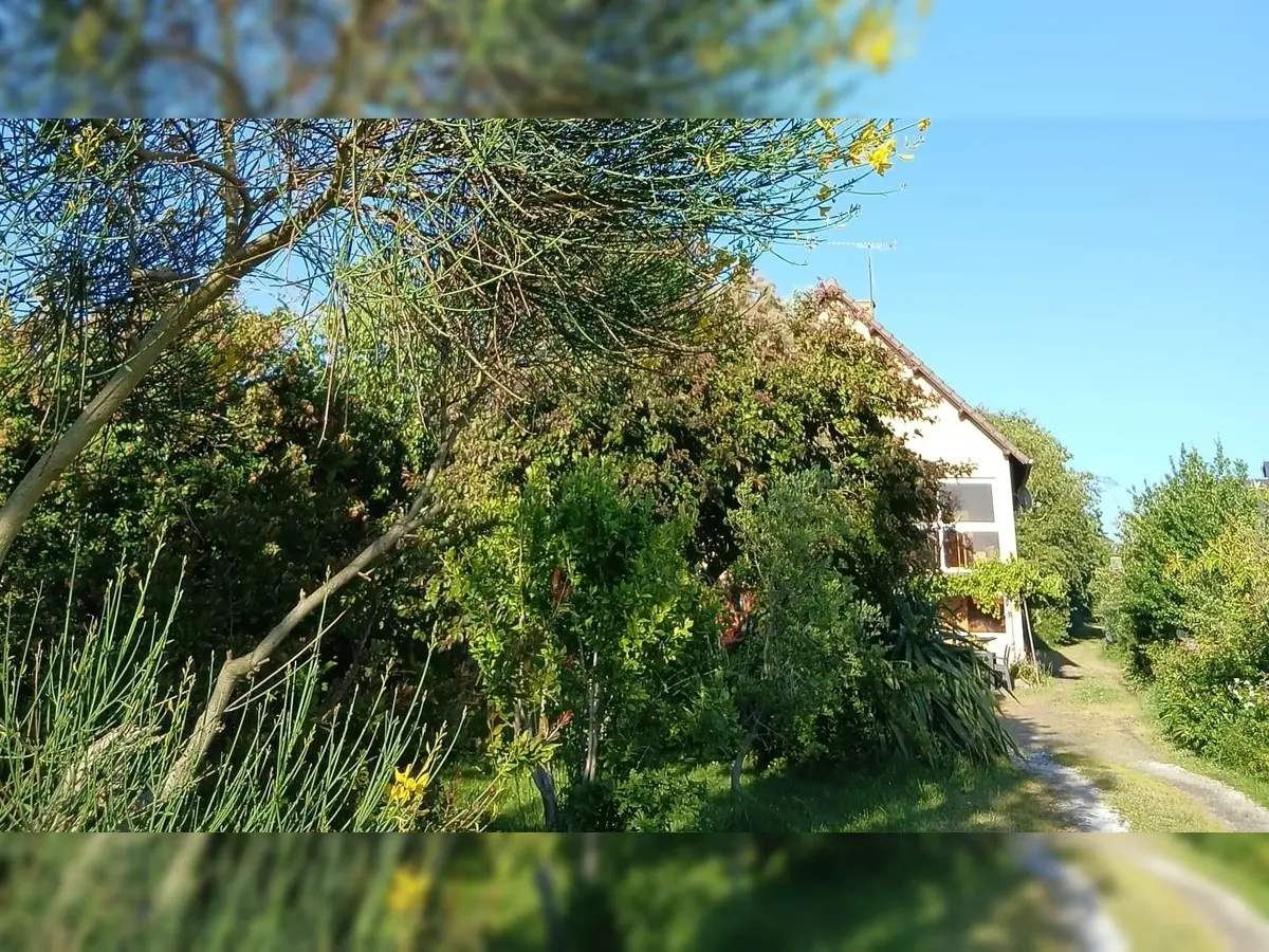 Bulle de jardin_mardi 18h (1)