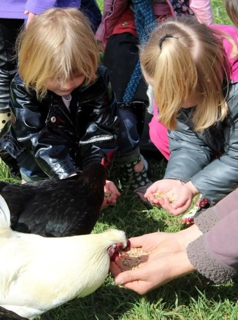 C'est toi le fermier
