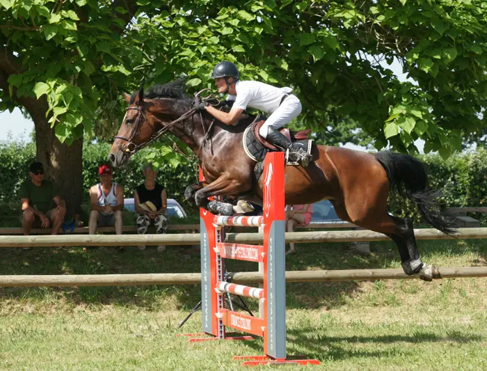Concours hippique