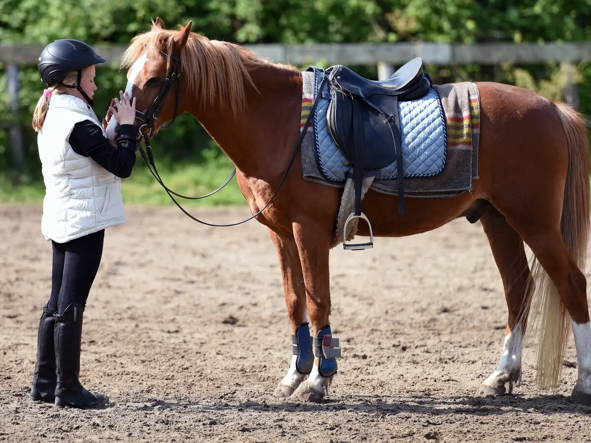 Equitation