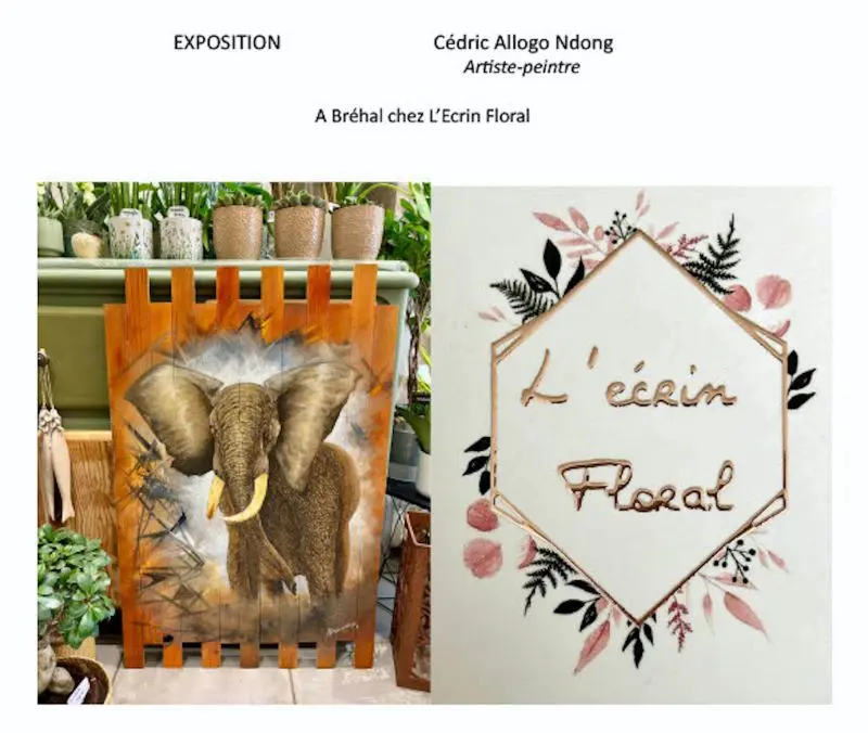 Exposition Cédric Allogo Ndong 2025