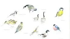 Vains_I. Issaverdens