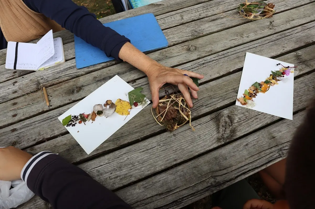 Vains_Ecomusée de la Baie_Création végétale