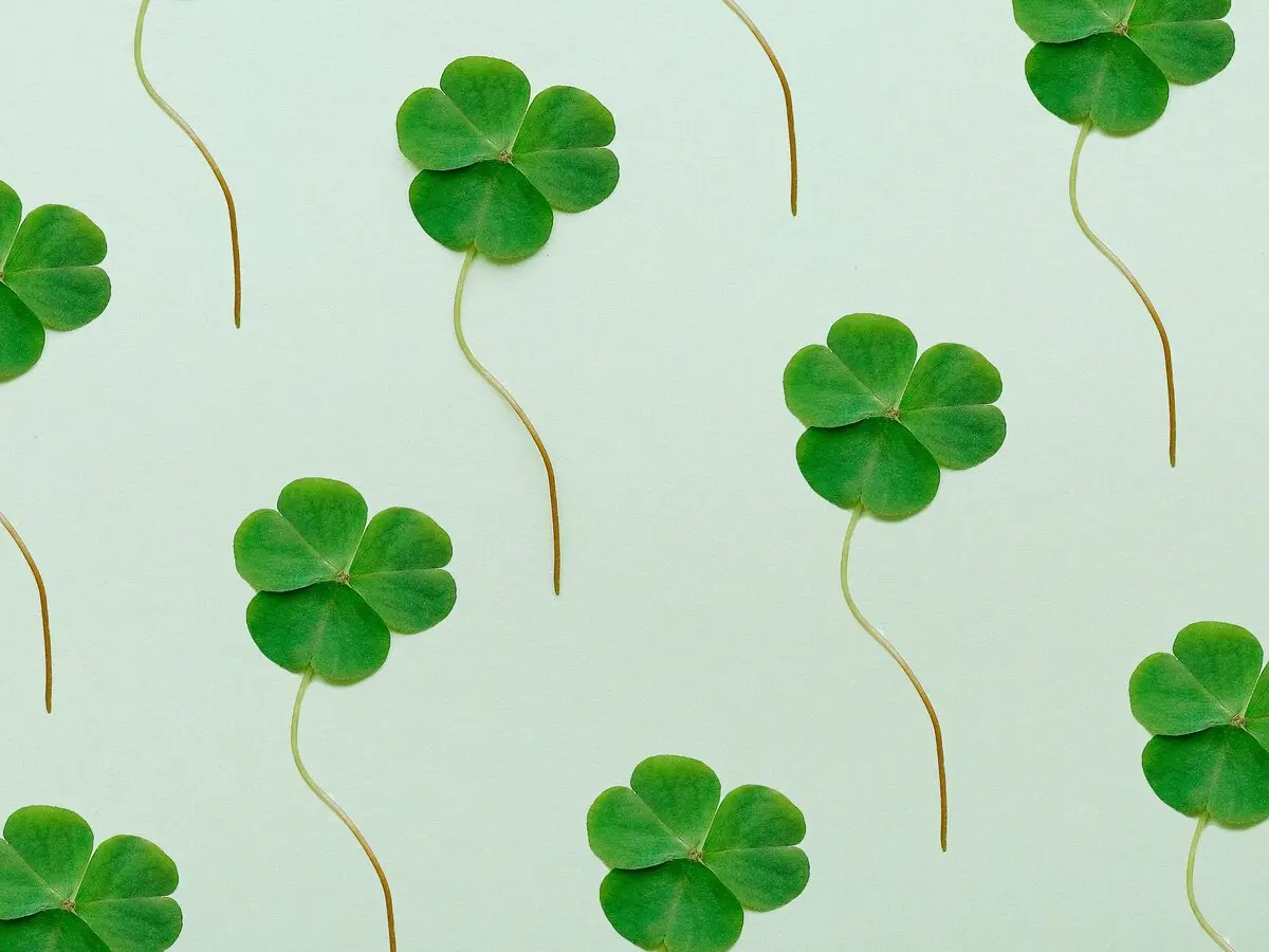 Irish