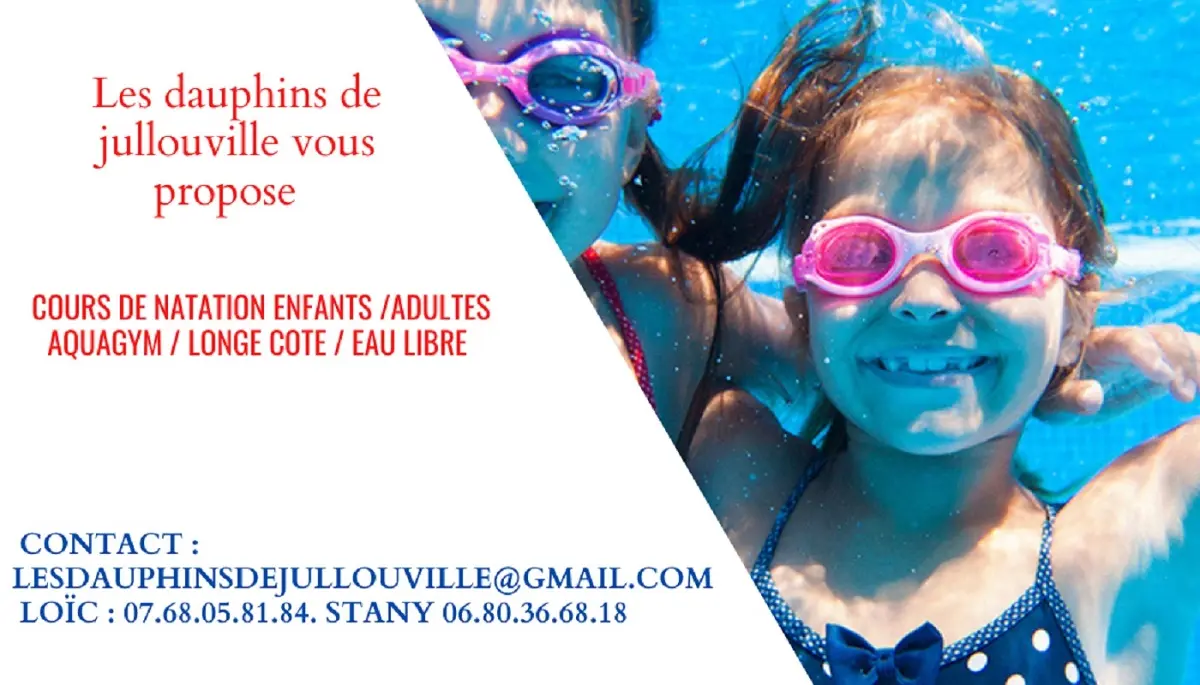 Les dauphins de Jullouville T