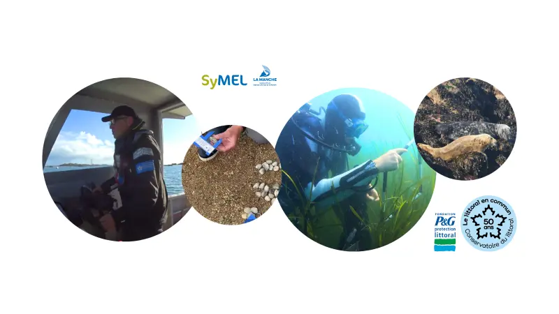 Les missions du SyMEL en mer