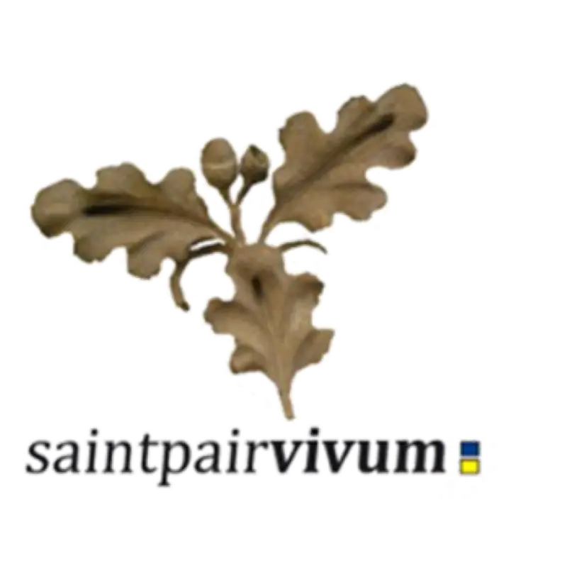 Logo SPV transparent 2025*