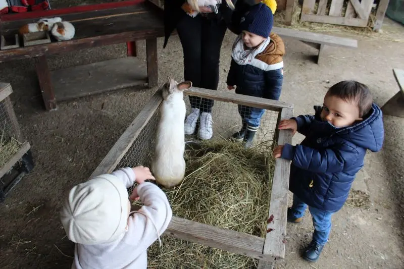 Mes premières bottes