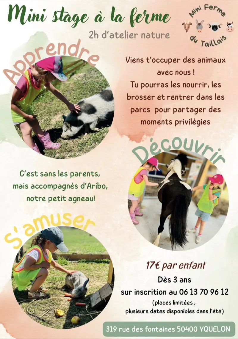 Mini ferme du Taillais - atelier mini fermier mini stage à la ferme