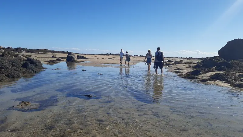 Michel Jeanne Chausey estran