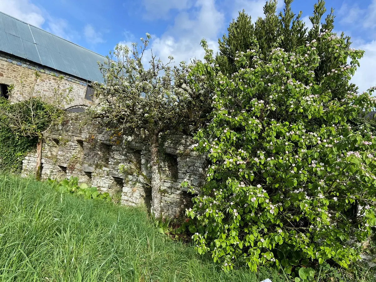 PEL_Quettreville-sur-Sienne (Hyenville)_Mur à abeille