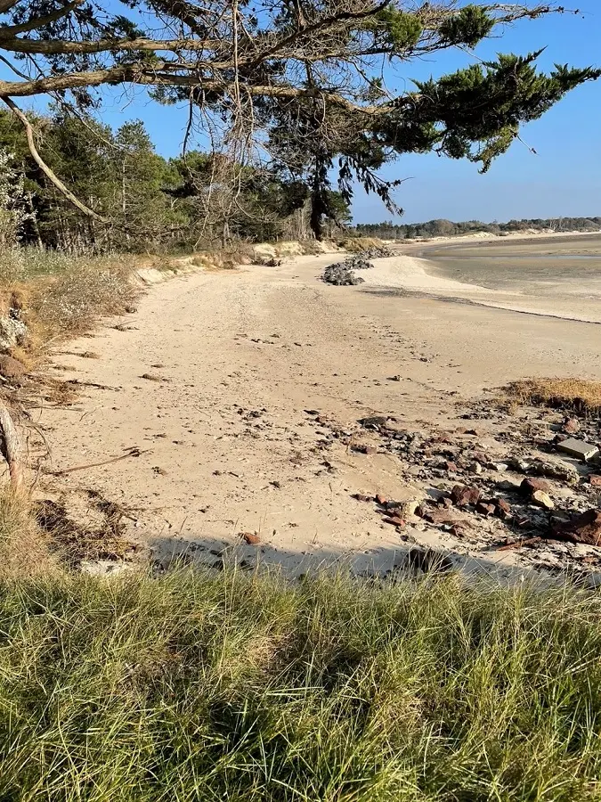 PEL_Tourneville-sur-Mer (Lingreville)_1-FToumit-06-01-26 (900)