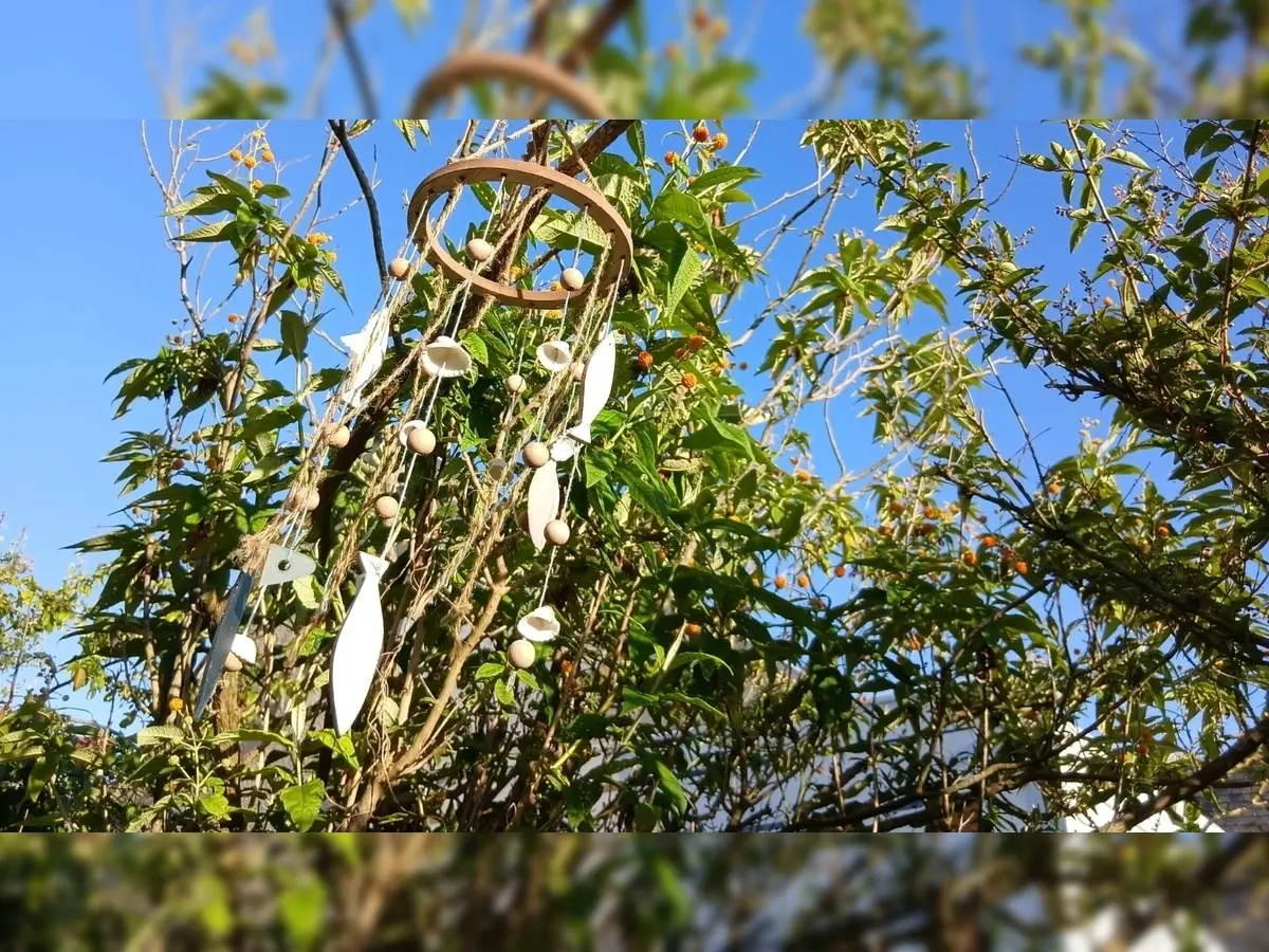 Petite bulle Jardin mercredi 11h (1)