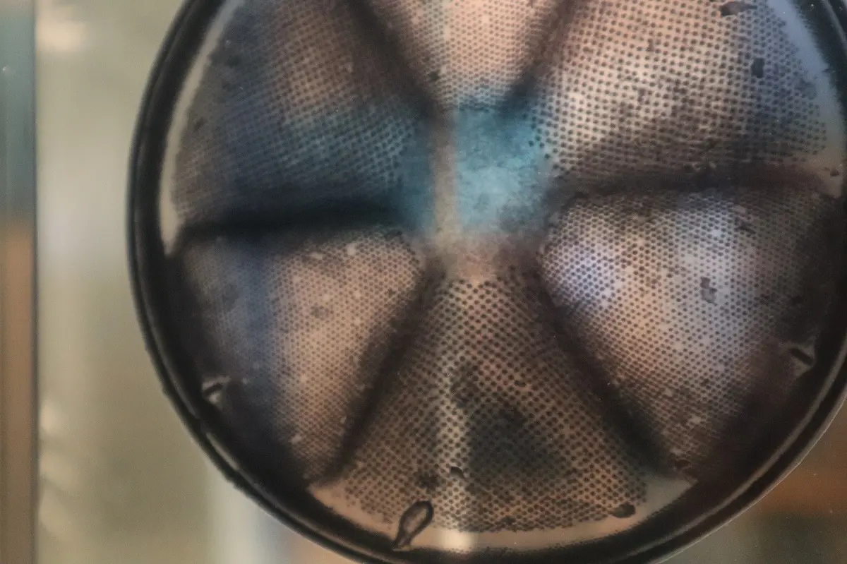 Vains_Ecomusée de la Baie_Micro organisme - Espace de synthèse