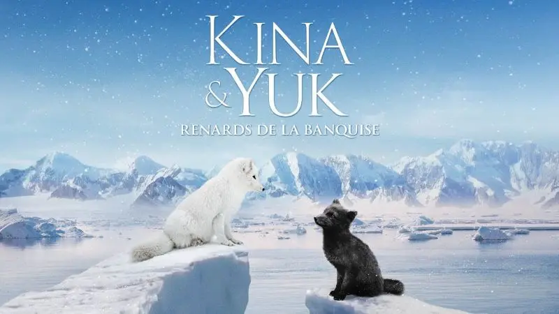 Rendez-vous Médiathèques GTM 2025 Projection Kina et Yuk (Brehal)