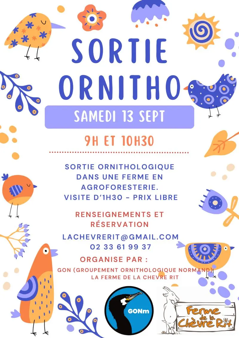 SORTIE ORNITHO 2025