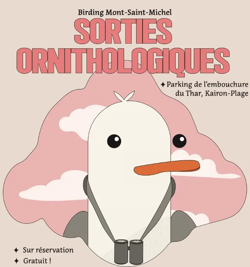 Sortie ornithologique Saint-Pair-sur-mer 2025