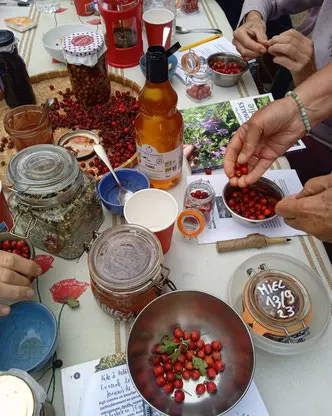 Vains_Ecomusée de la Baie_Atelier recettes de plantes