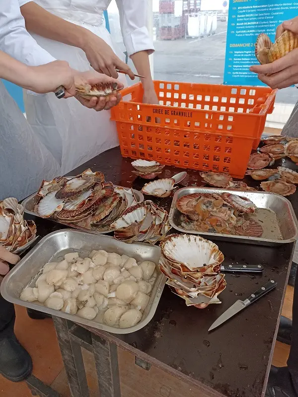 Toute la mer sur un plateau T2