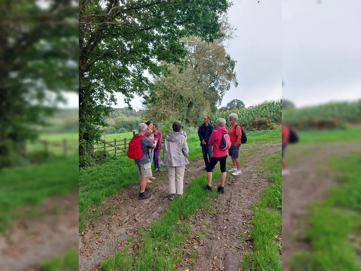 VE 12 - Balade dans le bocage