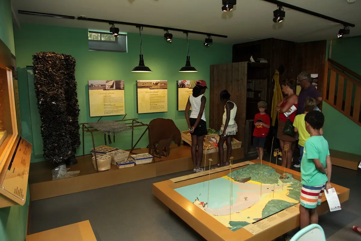 Vains_Ecomusée de la Baie-salle des activités humaines