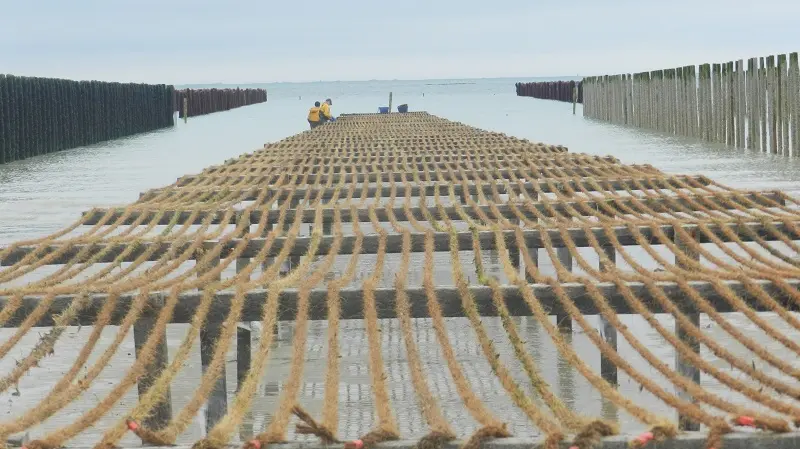 Visite moulières Pierre Maze