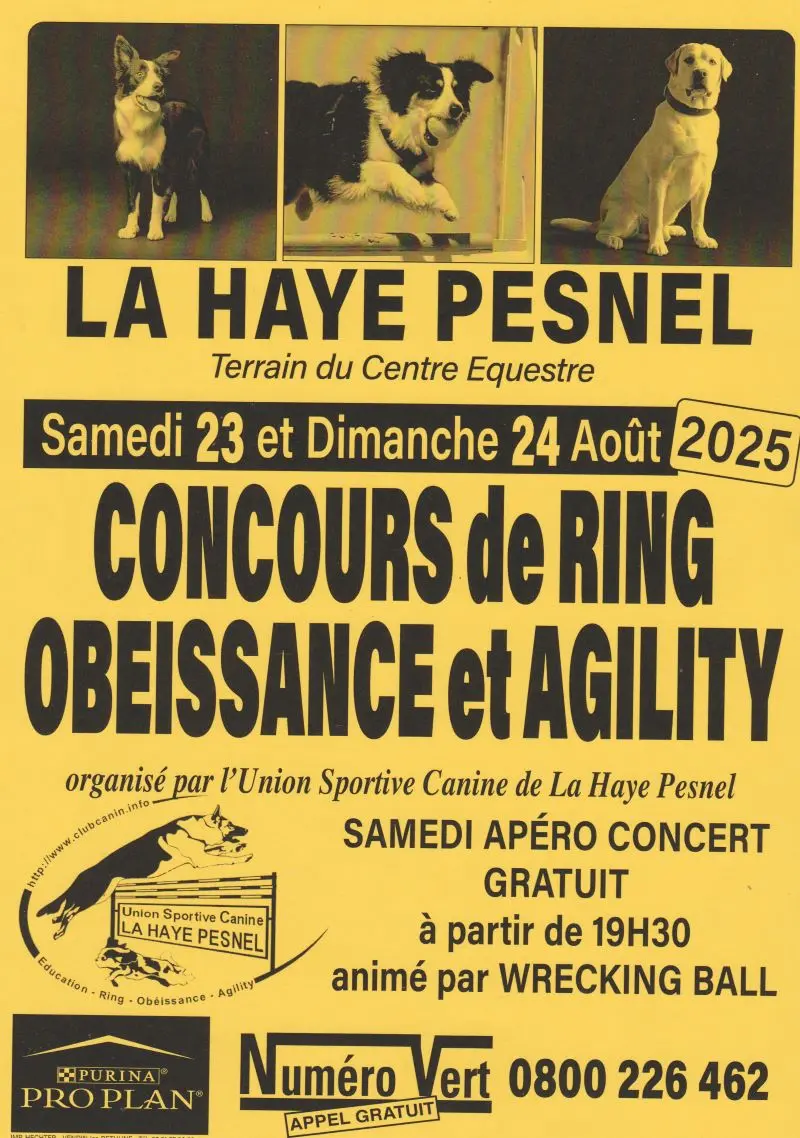 affiche concours canin 2025