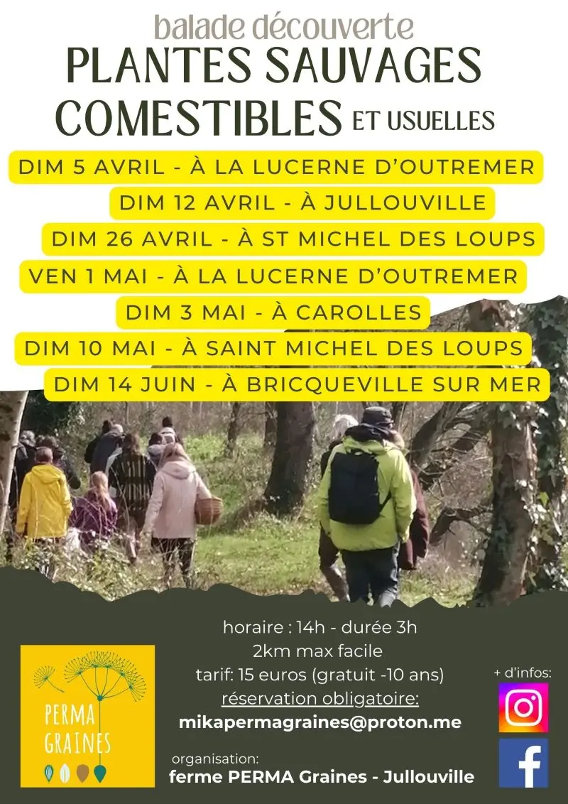 2026 - balade découverte plantes sauvages