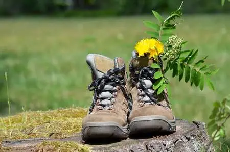 Chaussures de randonnée