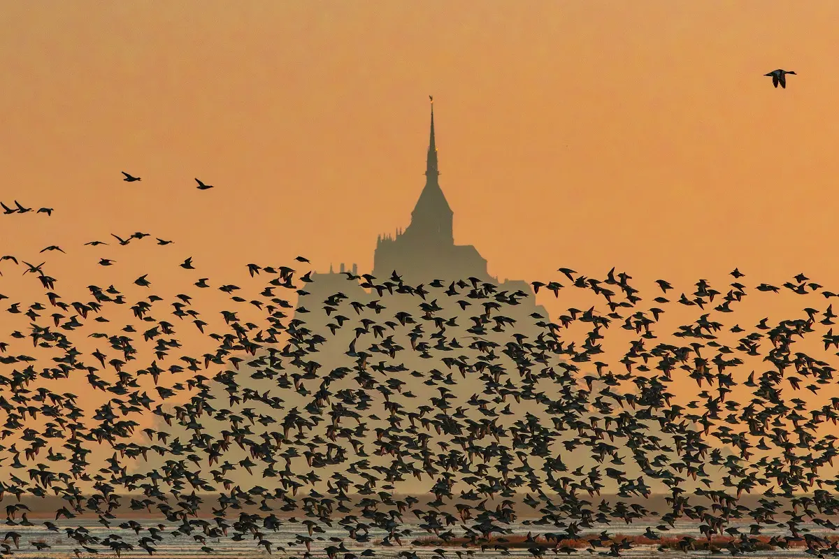 Vains_limi devant le Mont