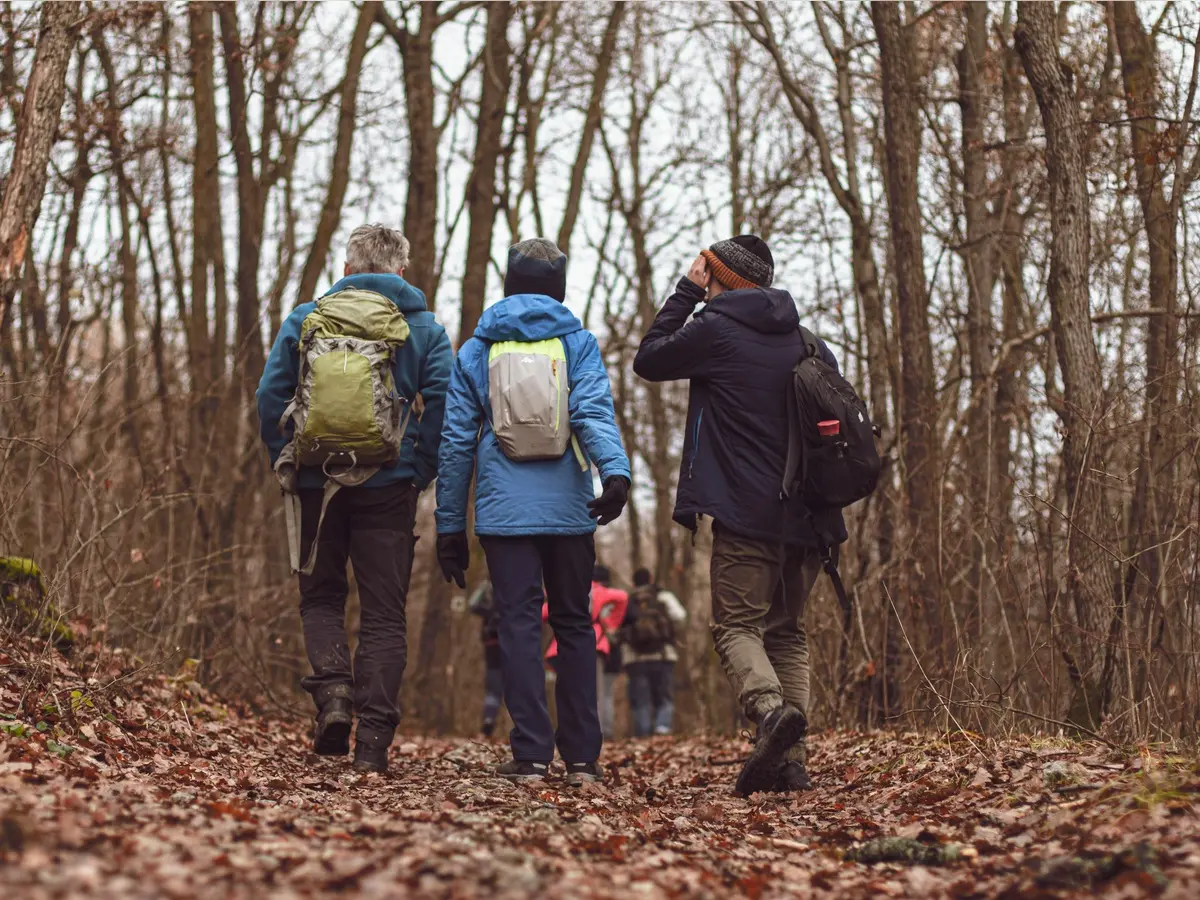 pexels-csibeman-19605131 (1)