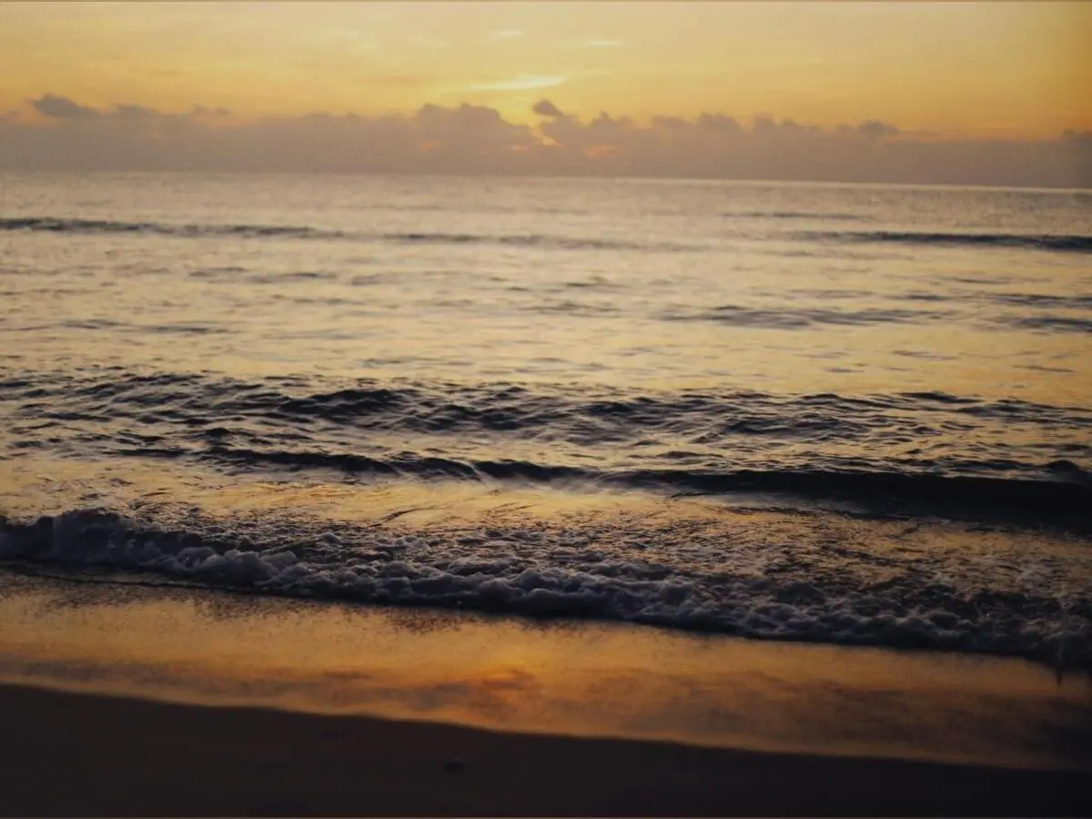 pexels-alexeydemidov-9314031 (1)