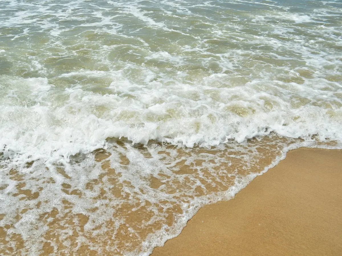 pexels-elisa-pellegrini-1520589154-30315184 (1)