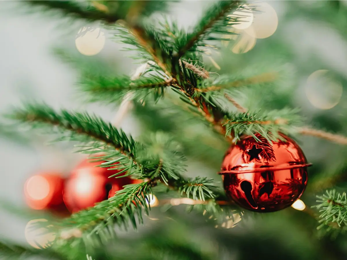 pexels-karola-g-5913978 (1)