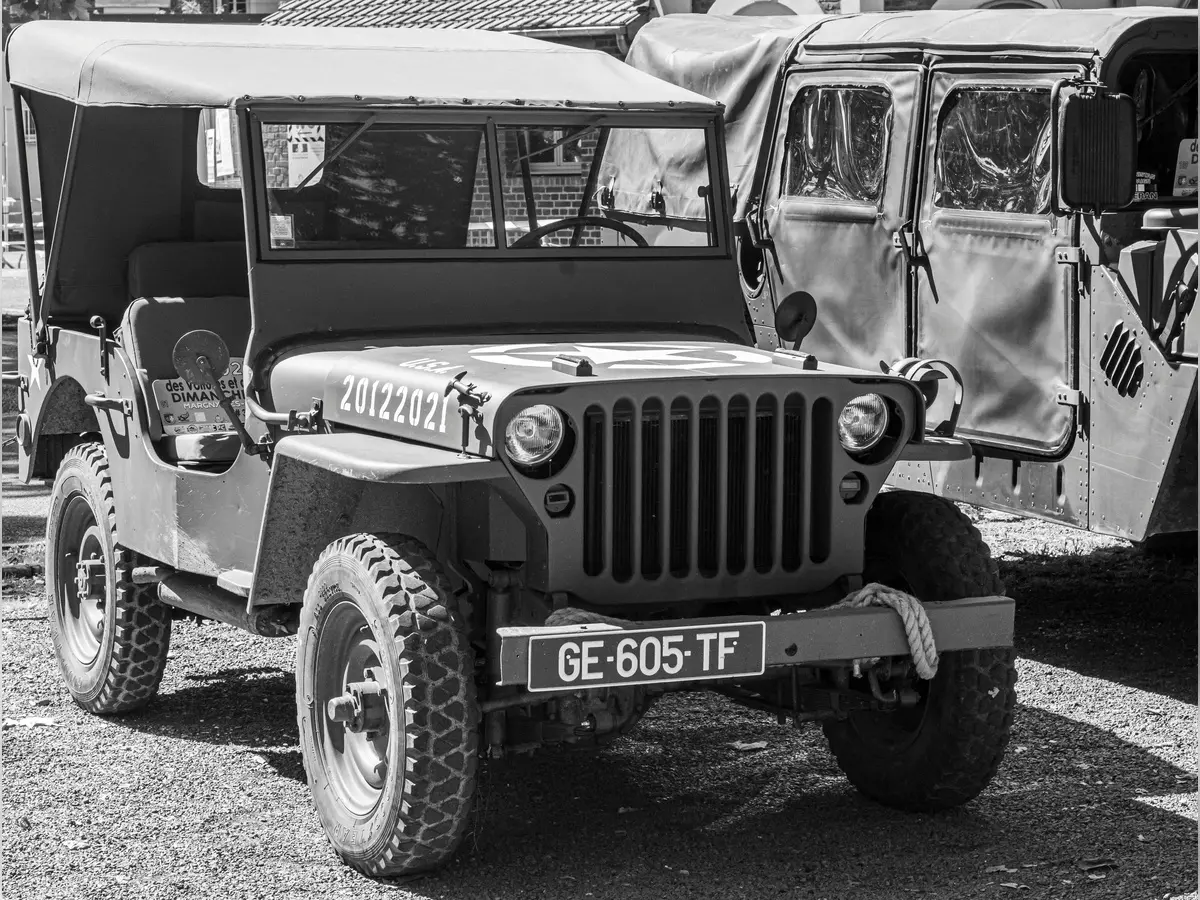 pexels-jean-marc-bonnel-387362531-17851957 (1)