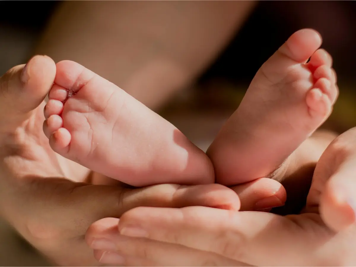 pexels-laura-garcia-1667452-3963709 (1)