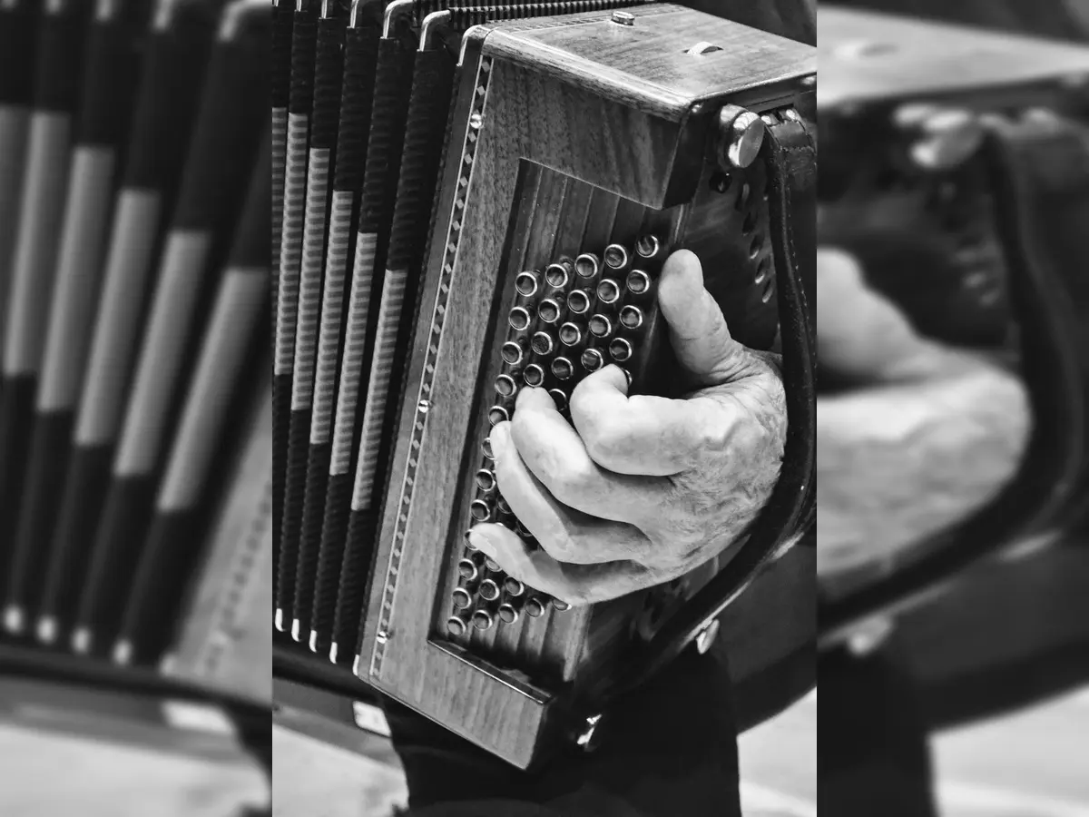 pexels-max-iglesias-a-1656978-3165920 (1)