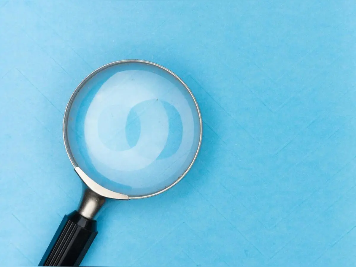 pexels-markus-winkler-1430818-4144768 (1)