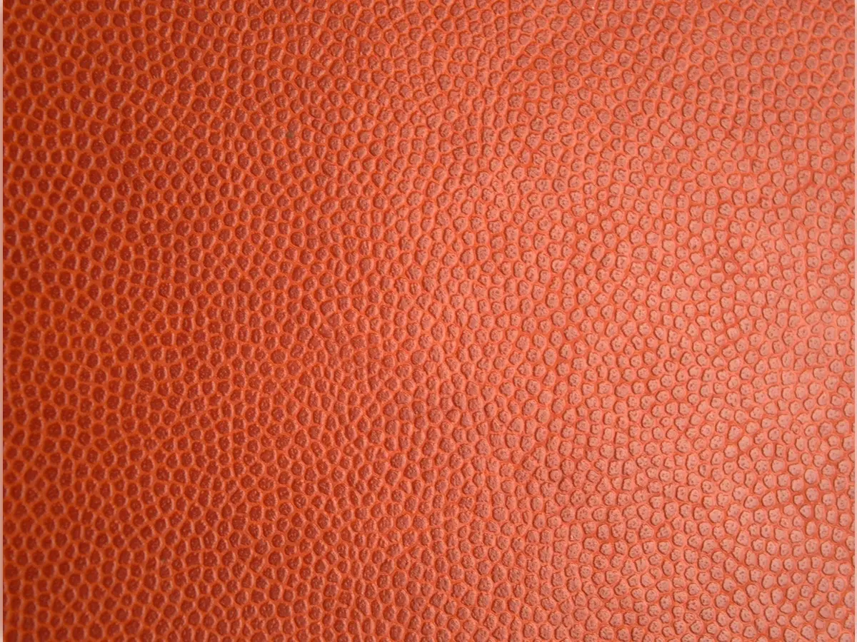 pexels-pixabay-207300 (1)