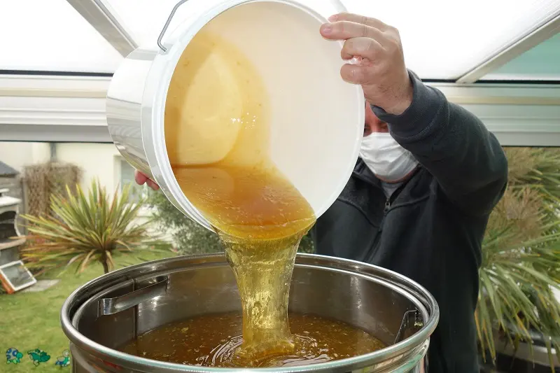 Extraction miel 2024