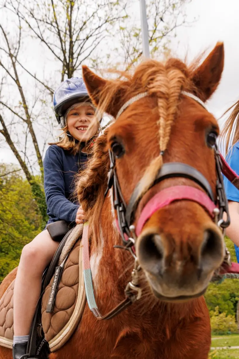 Balade à poney