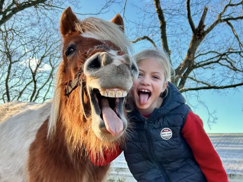 Stage Parc Rêver Réalité