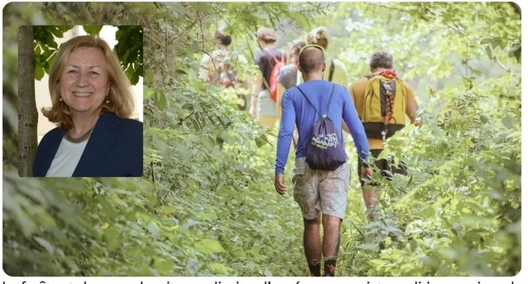 Conférence la Forêt