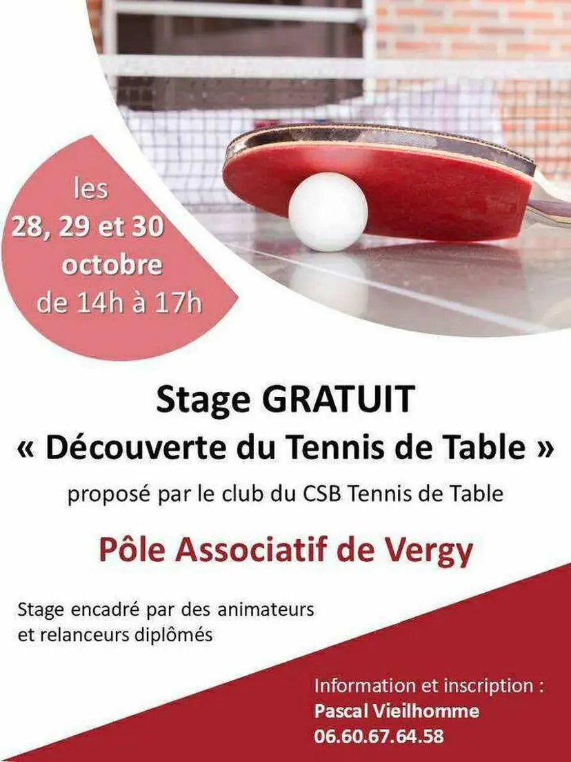 stage tennis de table